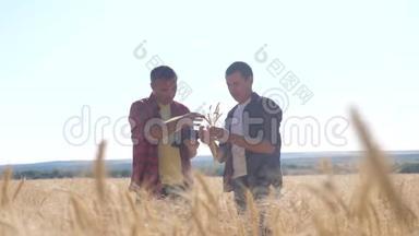 团队合作智能<strong>农业</strong>。 两个农民在麦田里工作。 农民探索正在研究。 <strong>数字</strong>平板小麦先生